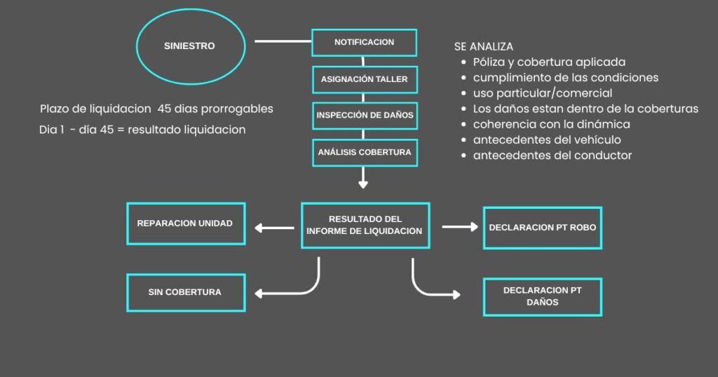 plazo de liquidacion